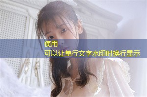 上海的文化认同与民族团结